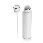 RTIC Journey Bottle